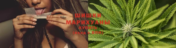 трава Вяземский