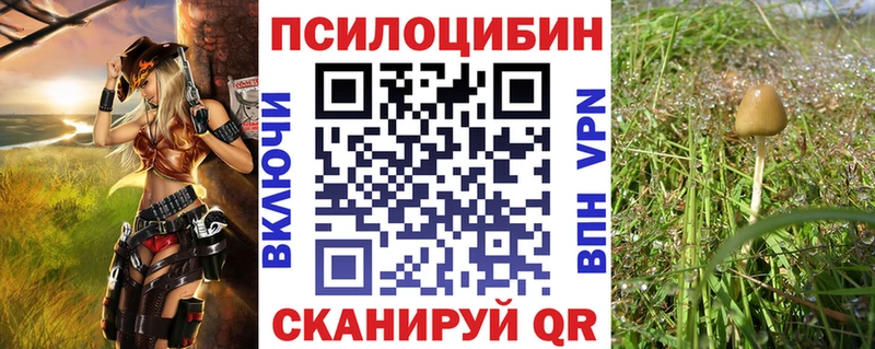 кракен зеркало  Оха  Галлюциногенные грибы Psilocybe 